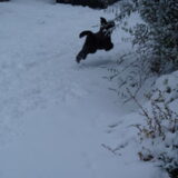 sneeuw is leuk
