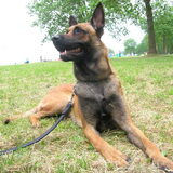 Mooie rocko