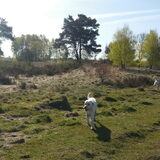 Foto van esther