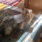 Foto van Anny en Lance