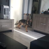 Foto van Rosanja