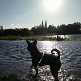Foto van Ciska en Spanjaardje Moh (Bambi r.i.p.)