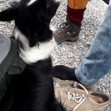 Foto van fabienne
