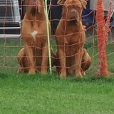 Foto van Lydia..chico sheila murdock