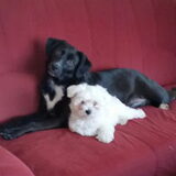 Foto van Lucia, Lizzy & Ziva