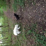 Foto van anja met Bobby(r.i.p. 25-9-25)