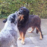 Foto van fabienne