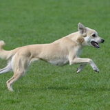 Foto van Hannah & June