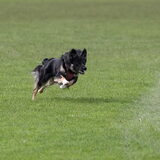 Foto van Team Black & White