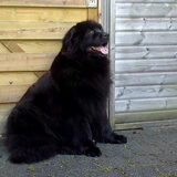 Nina, de moeder van Izzy.