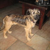 Boef, 01-02-2010