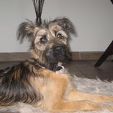 Boef, 01-02-2010