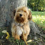 Foto van Xtine
