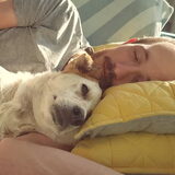 Foto van Bingo is his name-o