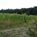 Foto van Liza en haar baasje Ashly