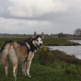 Foto van Lavina