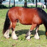 Foto van fabienne