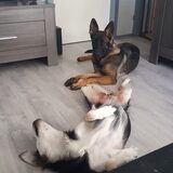 Foto van Rosanja