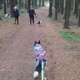 Foto van Angelique; Bruno, Charlie & Fenna