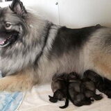 Foto van fabienne