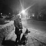 Foto van Dutchshepherdteam