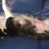 Foto van peggy