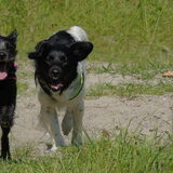 Foto van Sandra, Ozzie (overleden) Iris en Zoë