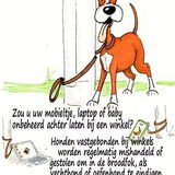 Foto van soraya