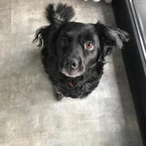 Dit is de mama van Momo, die (echt waar!) óók Meike heet!
