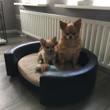 Foto van Caroline
