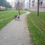 Foto van Rosanja
