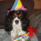 Scylla 1 jaar!! Hiep hiep...