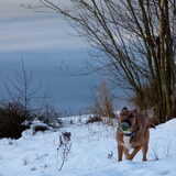 Foto van Hetty & Skipper