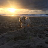Foto van Ilse met haar schatjes: Binny & Stoetel