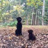 Foto van Maaike en Joep, Lizzy, Bam en Harry