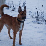 Foto van Hetty & Skipper