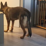 Foto van Rosanja