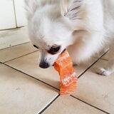 Foto van Dutchshepherdteam