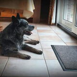 Foto van fabienne