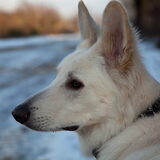 Foto van Hetty & Skipper