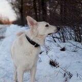Foto van Hetty & Skipper