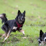 Foto van Team Black & White
