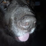 Foto van Jeanine :)
