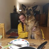 Foto van Dutchshepherdteam