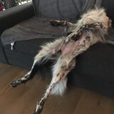 Foto van Doortje & Tibbe