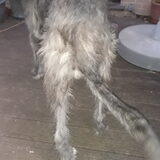 Foto van Jeanine :)