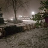 Foto van Dutchshepherdteam