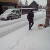 Zware sneeuwval !