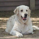 Foto van Wendy