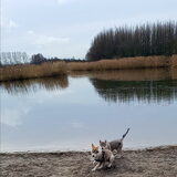Foto van laura   Diva&Nova